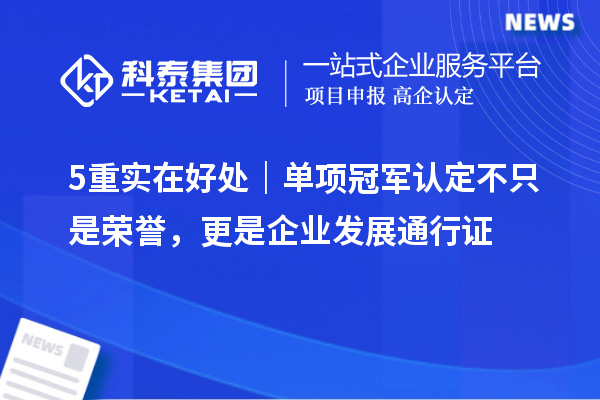 5重实在好处｜单项冠军认定不只是荣誉，更是企业发展通行证
