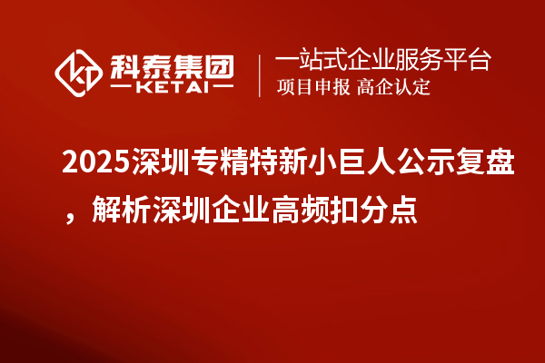 2025深圳专精特新小巨人公示复盘，解析深圳企业高频扣分点
