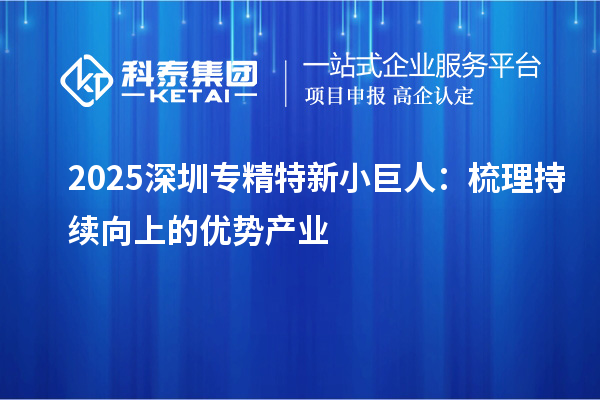 2025 深圳专精特新小巨人：梳理持续向上的优势产业
