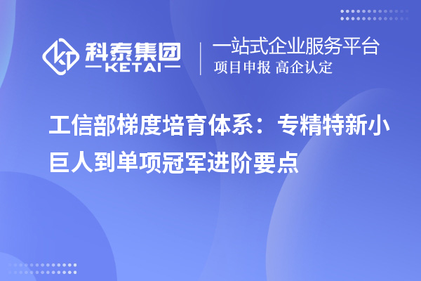 工信部梯度培育体系：专精特新小巨人到单项冠军进阶要点