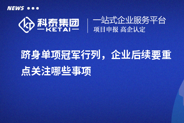 跻身单项冠军行列，企业后续要重点关注哪些事项