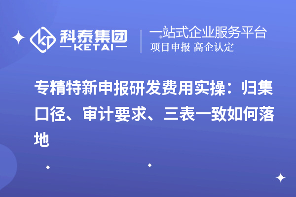 专精特新申报研发费用实操：归集口径、审计要求、三表一致如何落地