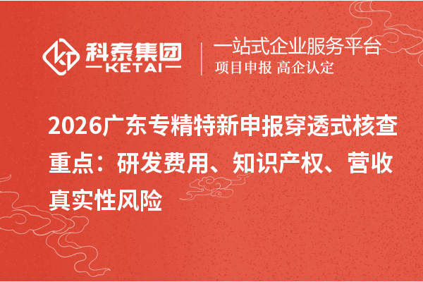 2026广东专精特新申报穿透式核查重点：研发费用、知识产权、营收真实性风险