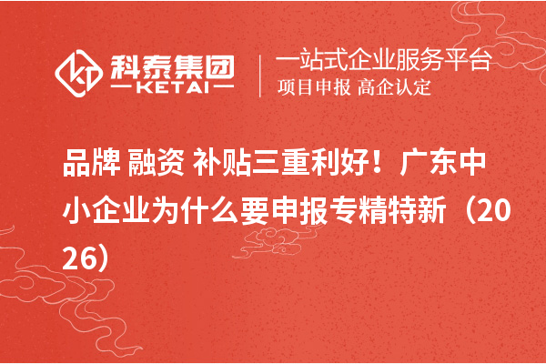品牌 + 融资 + 补贴三重利好！广东中小企业为什么要申报专精特新（2026）