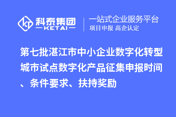 第七批湛江市中小企业数字化转型城市试点数字化产品征集申报时间、条件要求、扶持奖励